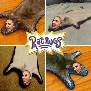 Meet your Posher, Jasmine